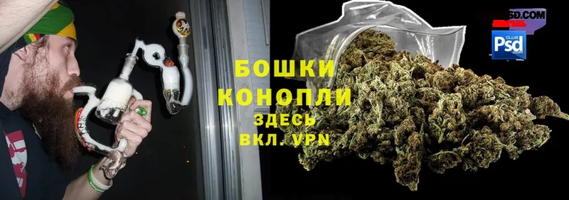 как найти закладки  Княгинино  Шишки марихуана SATIVA & INDICA 